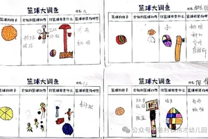 如何找到专业的篮球主力发展计划：全面指南与策略